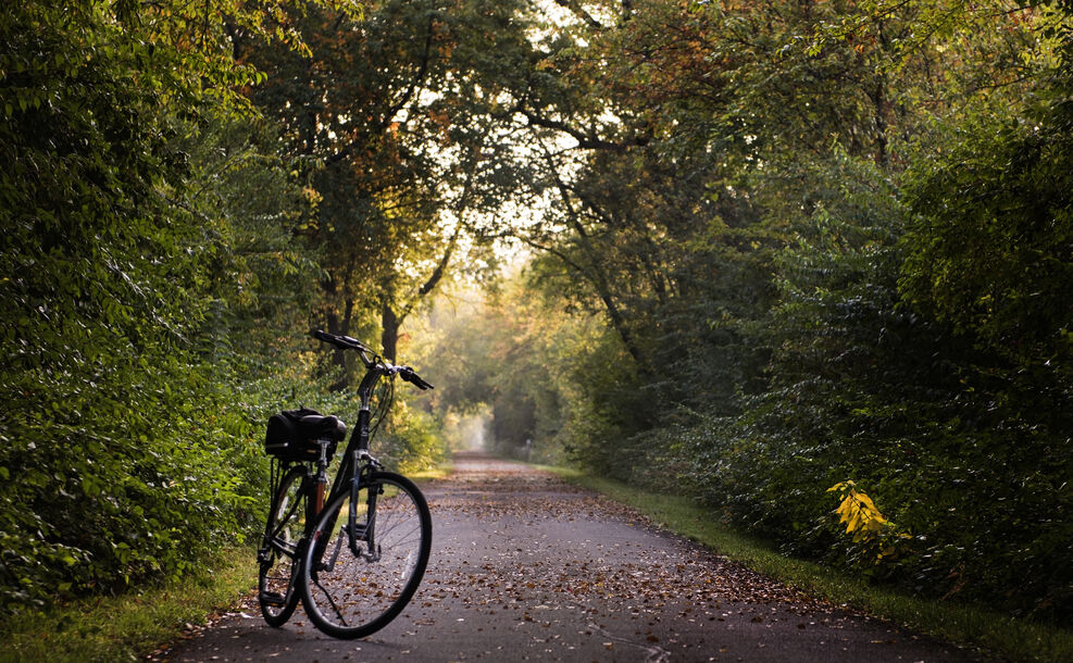 Fahrrad steht auf Waldweg